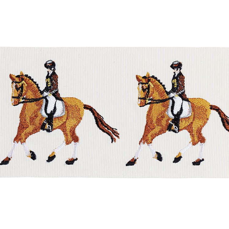Dressage Woven Chevron Pillows