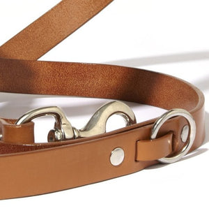 English Bridle Leather Collars & Leads